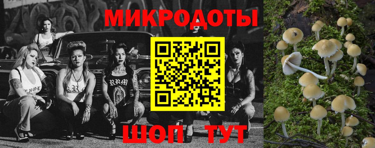 Галлюциногенные грибы Cubensis  Вход с VPN  Краснознаменск 