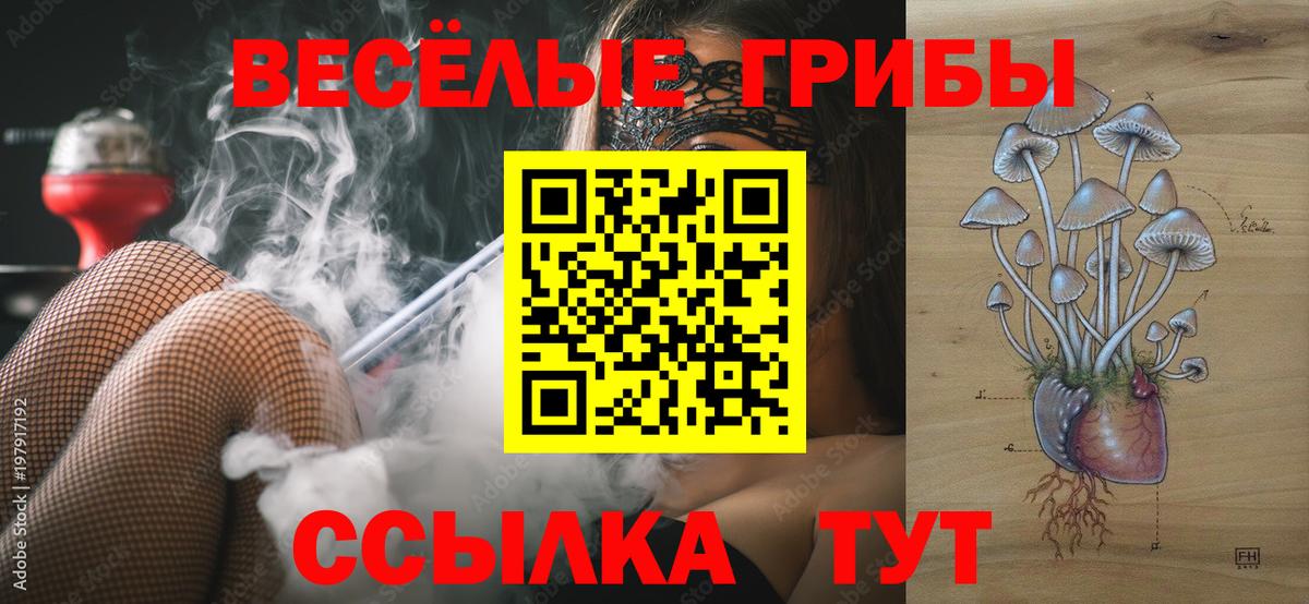 Псилоцибиновые грибы мухоморы Краснознаменск